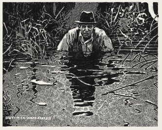 beuys in swamp 333rgb